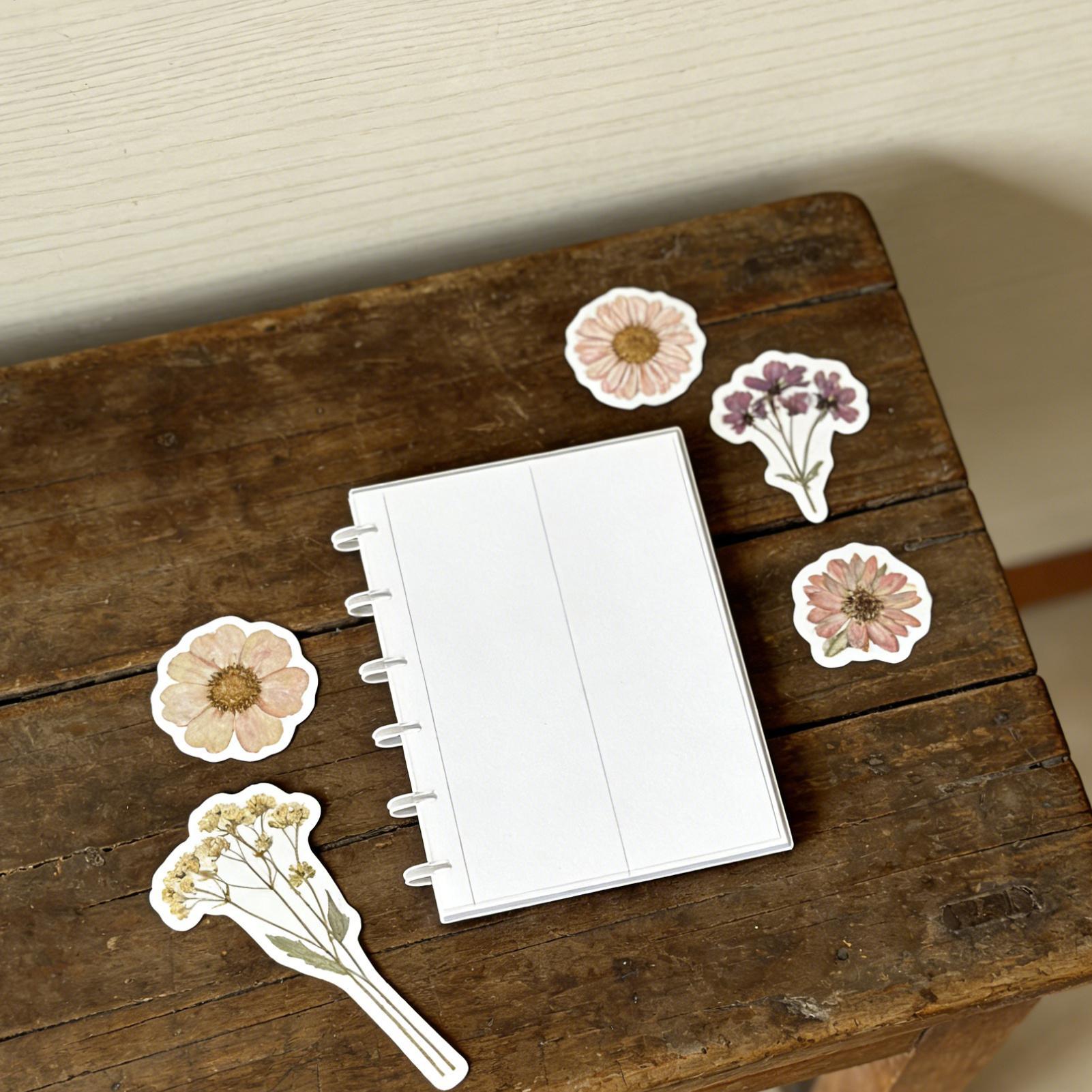 Slide-down Photo Strip Photo C - Binding Comb Plastic review and price