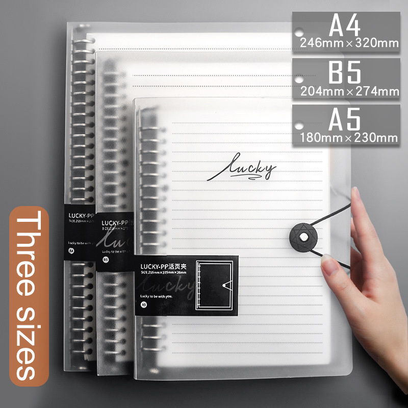 Diary A5 B5 A4 Transparent Loo - Graph Paper Pad review and price